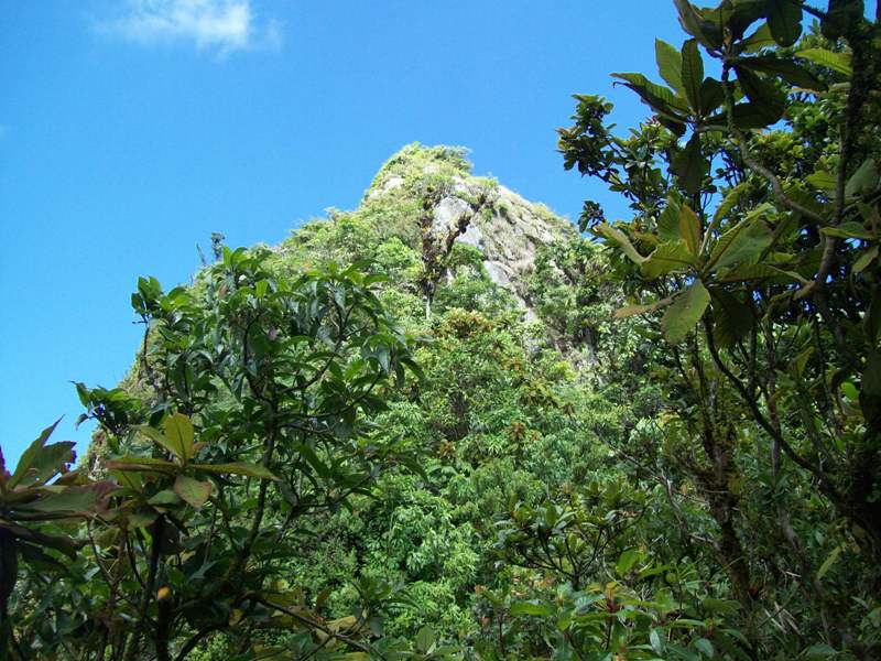 la piedrona